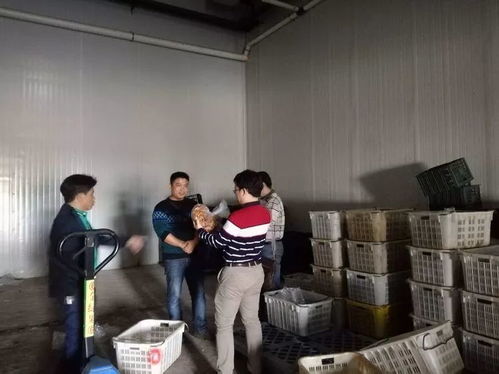 ?？谑乘幈O局靠前服務 以專業指導賦能合作社農產品深加工廠建設